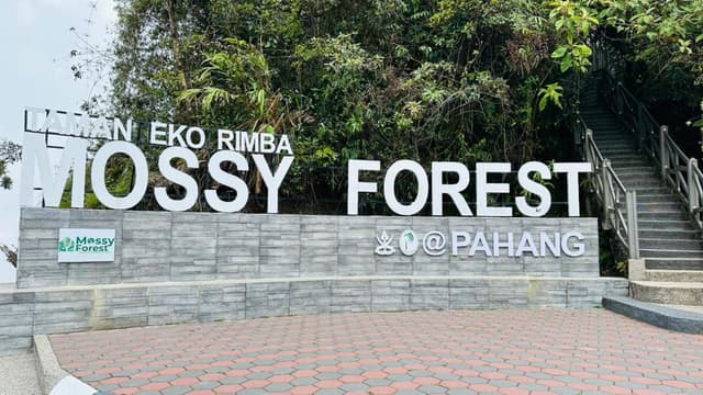 Mossy Forest Cameron Highlands - Image 3